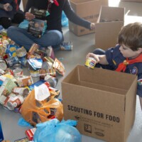 scouting for food photo