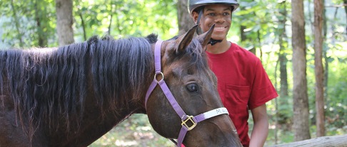Scout and Horse