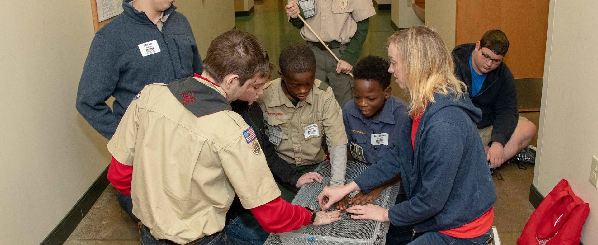 STEM scouts