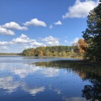 Pine Ridge Property Image