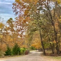 Beaumont Property Image