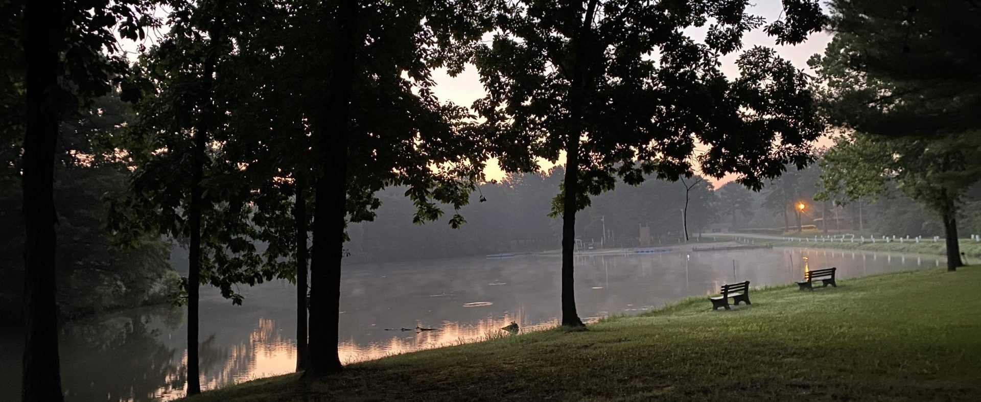 Looking at a lake in the morning