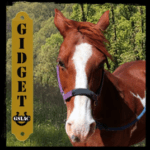 Gidget the horse graphic