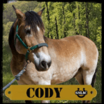 Cody the horse graphic