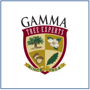 Gamma Tree Experts logo