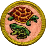 Reptile Amphibian Merit Badge